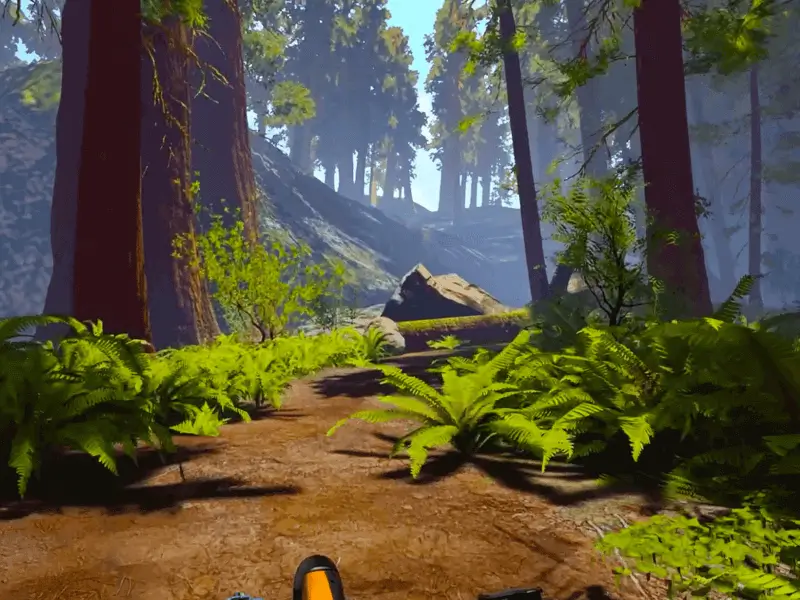 An image from the rider point of view inside the simulation in the environment Redwood Forest