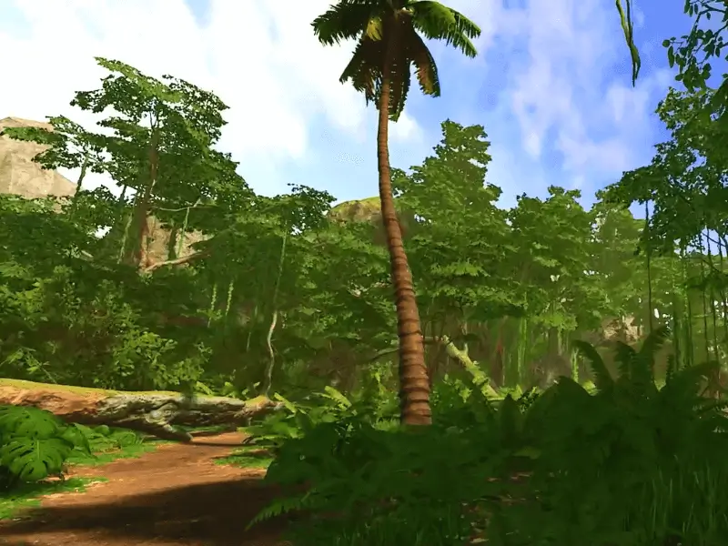 An image from the rider point of view inside the simulation in the environment Highlands Rainforest